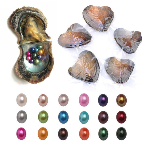 20PCS Natural Oyster Pearl Freshwater Oyster Pearls With Mussel Shell DIY Nolvelty Funny Toys For Children Adult Xmas Gift