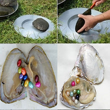 Load image into Gallery viewer, 20PCS Natural Oyster Pearl Freshwater Oyster Pearls With Mussel Shell DIY Nolvelty Funny Toys For Children Adult Xmas Gift